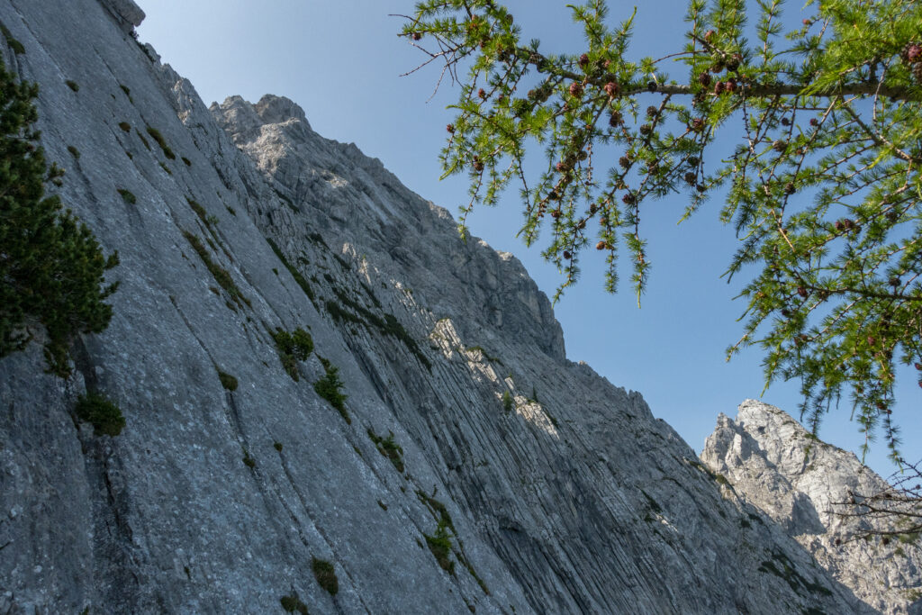Widerauersteig auf den Scheffauer
